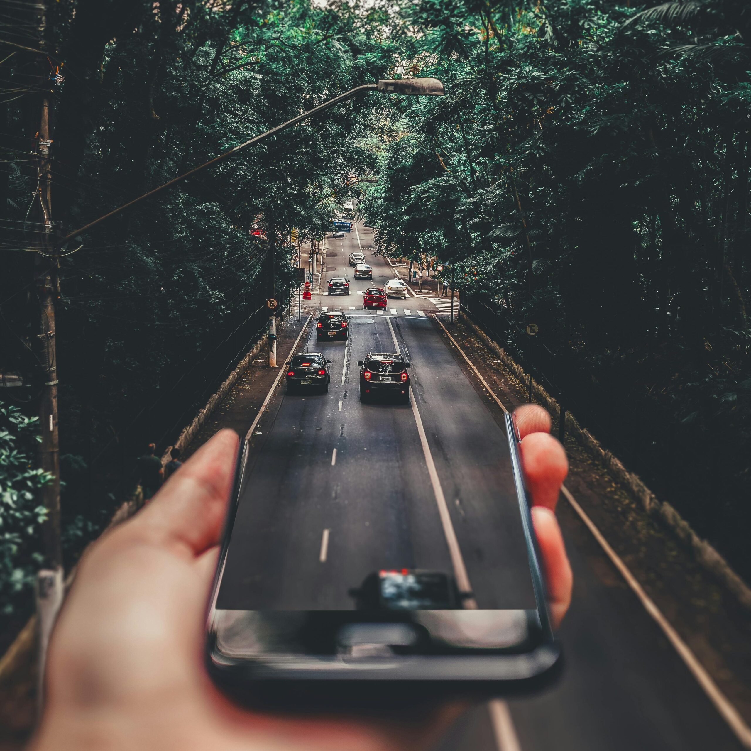 Creative blend of technology and nature with smartphone framing a bustling road through forest.